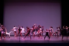 DSC0557