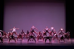DSC0584