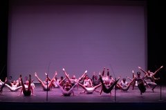 DSC0595