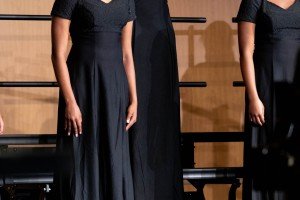 DLS_3239