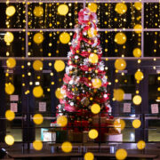 Shocphoto_2024PHSHolidayVocal_1352_