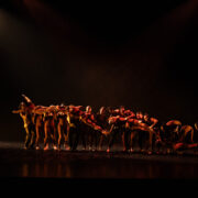 Shocphoto_2024PHSJuxtapose_5686_