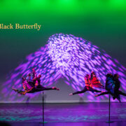 Shocphoto_2025PHSBlackHistoryShow_6330_